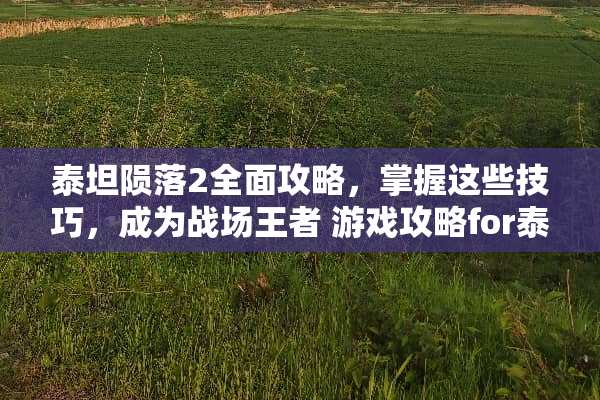 泰坦陨落2全面攻略，掌握这些技巧，成为战场王者 游戏攻略for泰坦陨落