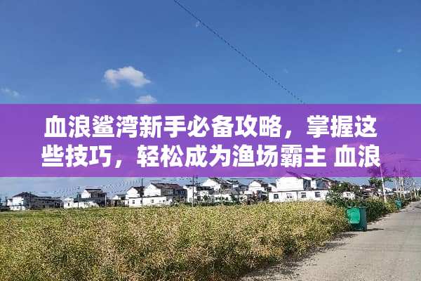 血浪鲨湾新手必备攻略，掌握这些技巧，轻松成为渔场霸主 血浪鲨湾攻略