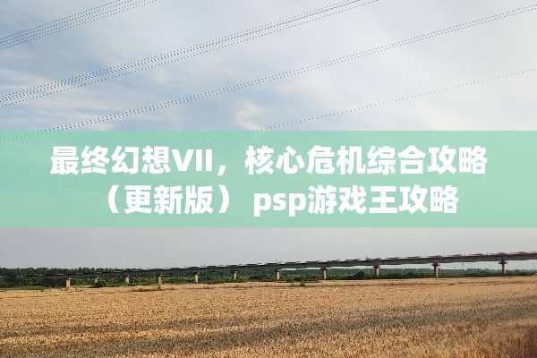 最终幻想VII，核心危机综合攻略（更新版） psp游戏王攻略