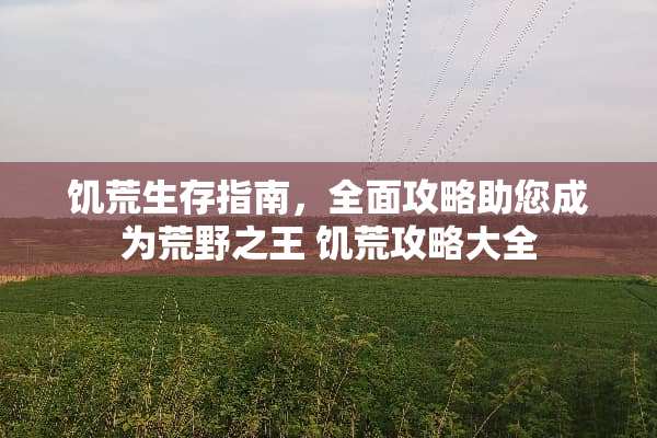 饥荒生存指南，全面攻略助您成为荒野之王 饥荒攻略大全