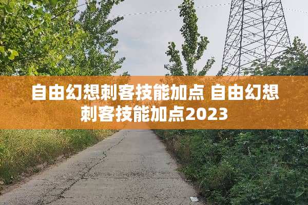自由幻想刺客技能加点 自由幻想刺客技能加点2023