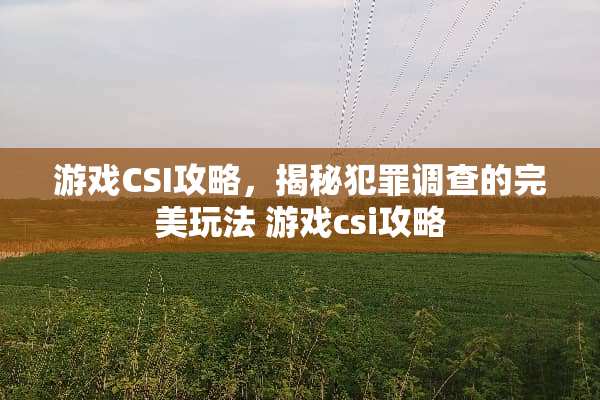 游戏CSI攻略，揭秘犯罪调查的完美玩法 游戏csi攻略