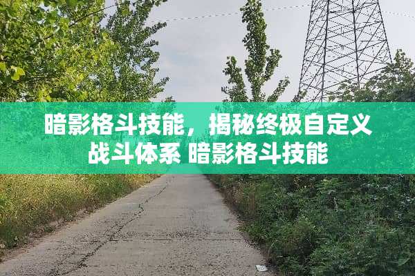 暗影格斗技能，揭秘终极自定义战斗体系 暗影格斗技能