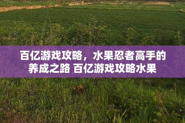 百亿游戏攻略，水果忍者高手的养成之路 百亿游戏攻略水果