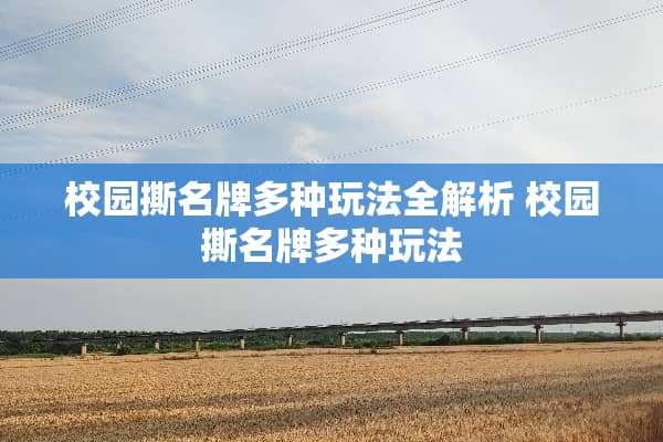 校园撕名牌多种玩法全解析 校园撕名牌多种玩法