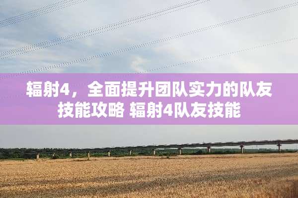 辐射4，全面提升团队实力的队友技能攻略 辐射4队友技能
