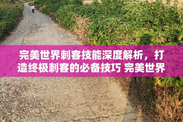 完美世界刺客技能深度解析，打造终极刺客的必备技巧 完美世界刺客技能