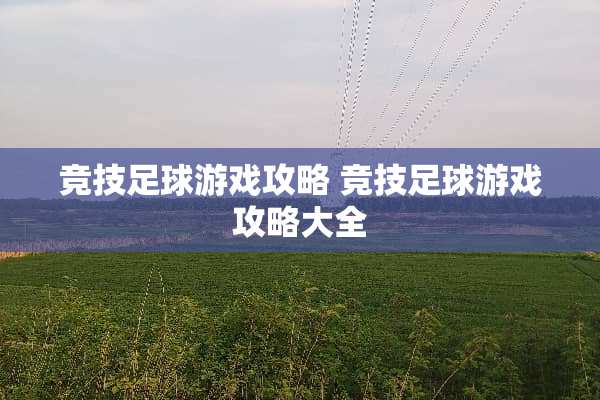 竞技**游戏攻略 竞技**游戏攻略大全