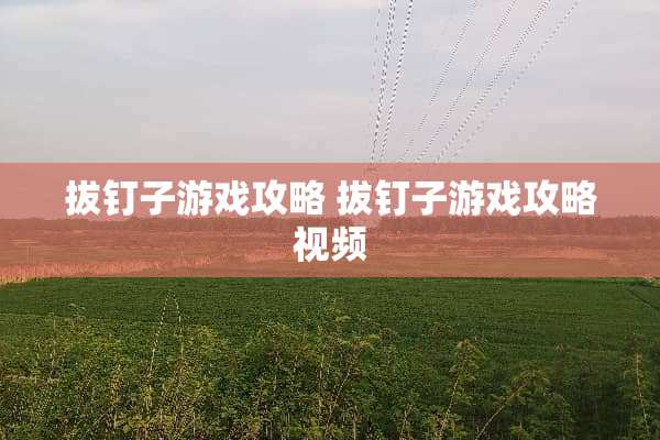 拔钉子游戏攻略 拔钉子游戏攻略视频