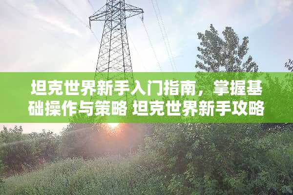 坦克世界新手入门指南，掌握基础操作与策略 坦克世界新手攻略