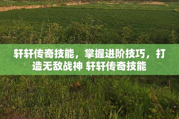 轩轩传奇技能，掌握进阶技巧，打造无敌战神 轩轩传奇技能