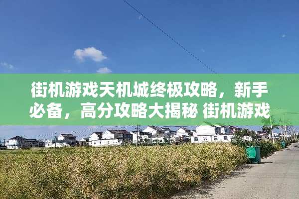 街机游戏天机城终极攻略，新手必备，高分攻略大揭秘 街机游戏天机城攻略