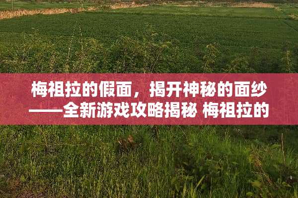 梅祖拉的假面，揭开神秘的面纱——全新游戏攻略揭秘 梅祖拉的假面攻略