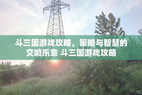 斗三国游戏攻略，策略与智慧的交响乐章 斗三国游戏攻略