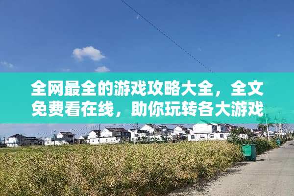 全网最全的游戏攻略大全，全文免费看在线，助你玩转各大游戏！ 攻略游戏全文免费看在线