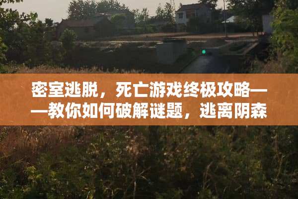 密室逃脱，死亡游戏终极攻略——教你如何破解谜题，逃离阴森房间 密室逃脱死亡游戏攻略