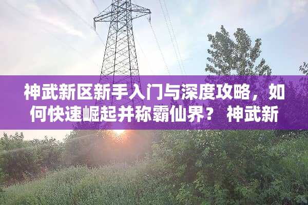 神武新区新手入门与深度攻略，如何快速崛起并称霸仙界？ 神武新区攻略