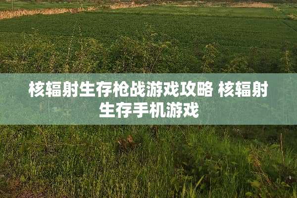 核辐射生存*战游戏攻略 核辐射生存手机游戏