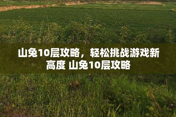 山兔10层攻略，轻松挑战游戏新高度 山兔10层攻略