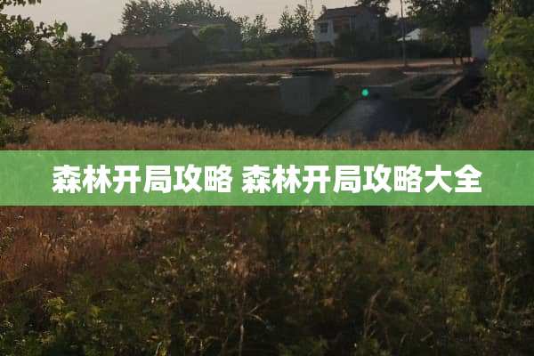 森林开局攻略 森林开局攻略大全