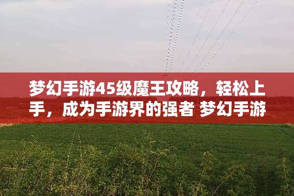 梦幻手游45级魔王攻略，轻松上手，成为手游界的强者 梦幻手游69魔王攻略