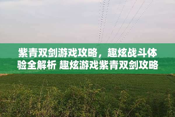 紫青双剑游戏攻略，趣炫战斗体验全解析 趣炫游戏紫青双剑攻略