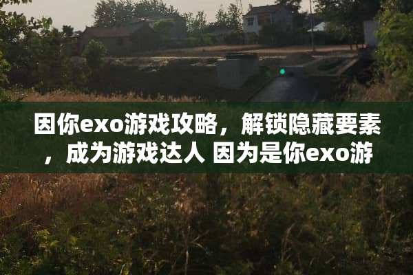 因你exo游戏攻略，解锁隐藏要素，成为游戏达人 因为是你exo游戏攻略