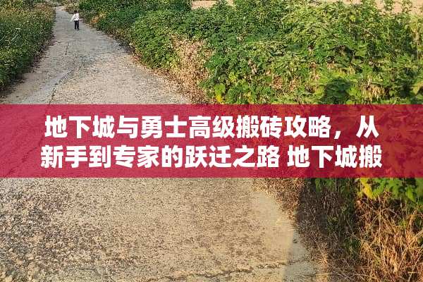 **城与勇士高级搬砖攻略，从新手到专家的跃迁之路 **城搬砖攻略