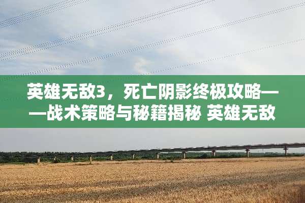 英雄无敌3，死亡*影终极攻略——战术策略与秘籍揭秘 英雄无敌3死亡*影攻略