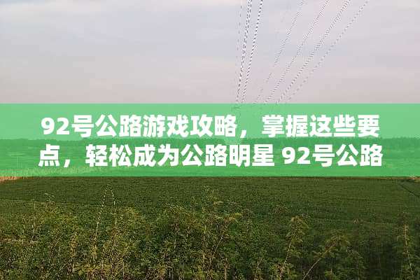 92号公路游戏攻略，掌握这些要点，轻松成为公路明星 92号公路游戏攻略