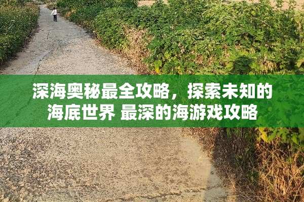 深海奥秘最全攻略，探索未知的海底世界 最深的海游戏攻略