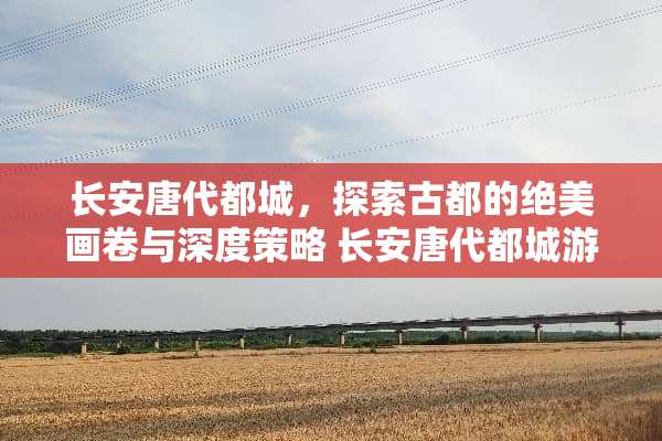 长安唐代都城，探索古都的绝美画卷与深度策略 长安唐代都城游戏攻略