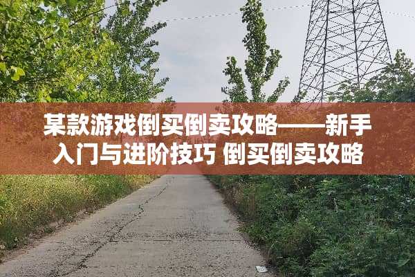 某款游戏倒买倒卖攻略——新手入门与进阶技巧 倒买倒卖攻略