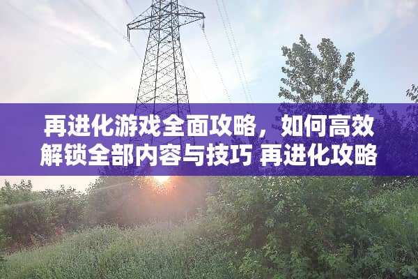 再进化游戏全面攻略，如何高效解锁全部内容与技巧 再进化攻略游戏