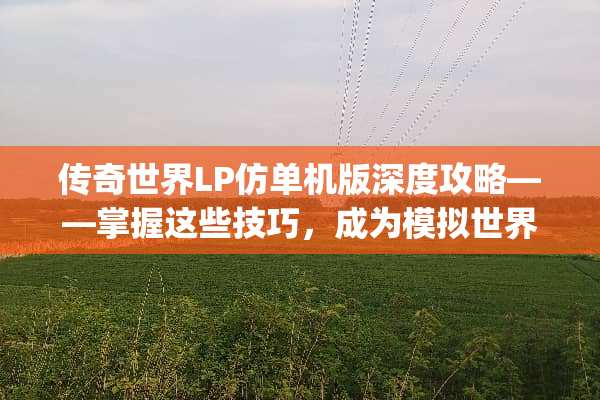 传奇世界LP仿单机版深度攻略——掌握这些技巧，成为模拟世界的王者！ lp仿传奇单机版攻略