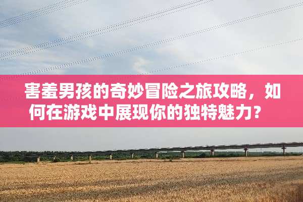 害羞男孩的奇妙冒险之旅攻略，如何在游戏中展现你的独特魅力？ 害羞男孩游戏攻略