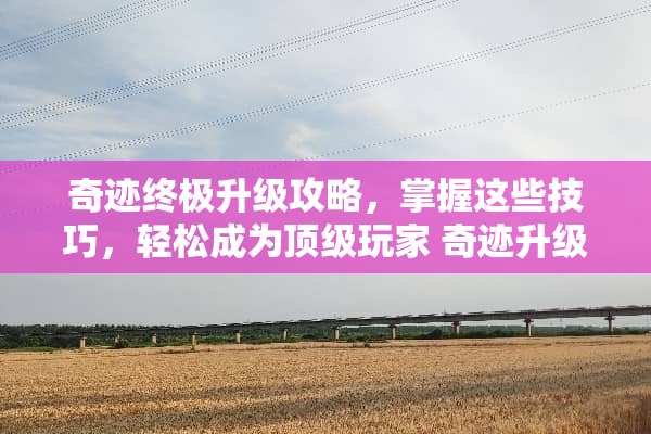 奇迹终极升级攻略，掌握这些技巧，轻松成为**玩家 奇迹升级攻略