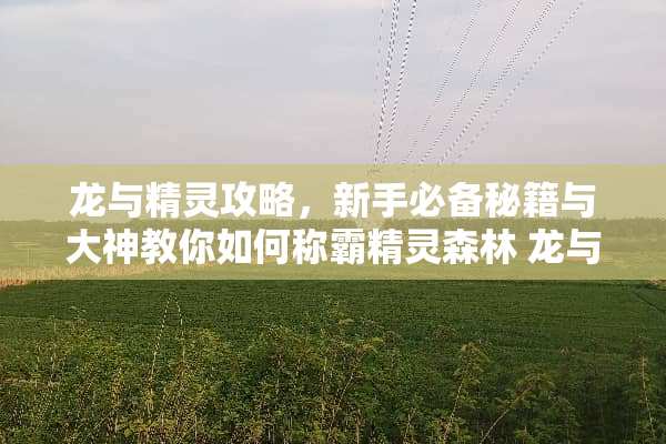 龙与精灵攻略，新手必备秘籍与大神教你如何称霸精灵森林 龙与精灵攻略