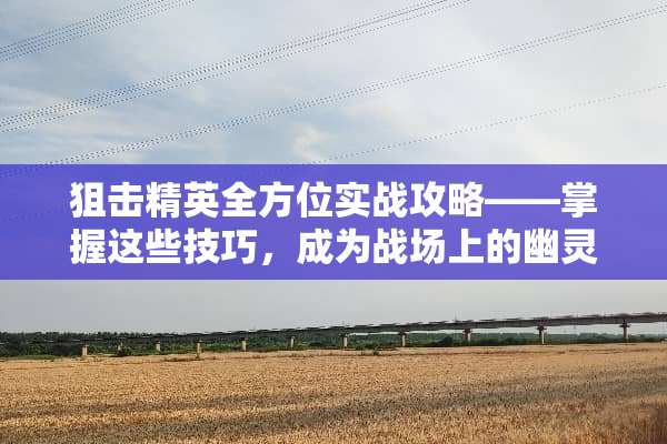 **精英全方位实战攻略——掌握这些技巧，成为战场上的幽灵**手 游戏**手攻略