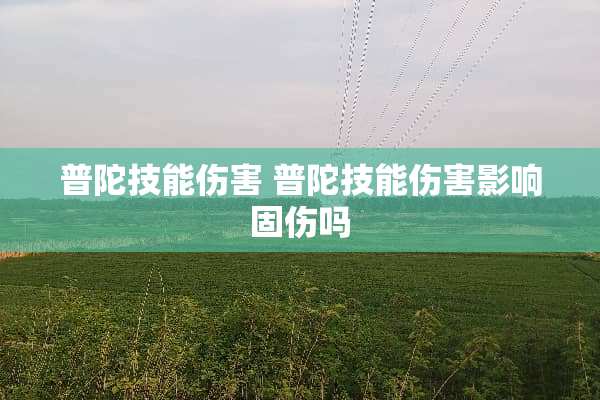 普陀技能伤害 普陀技能伤害影响固伤吗