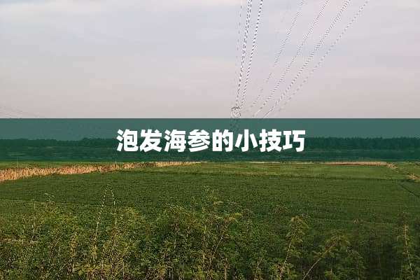 泡发海参的小技巧