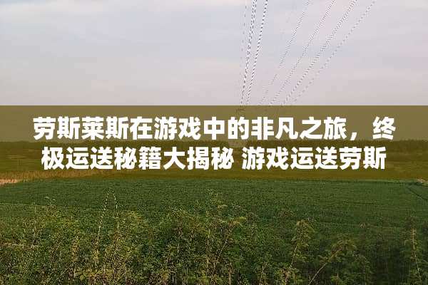 劳斯莱斯在游戏中的非凡之旅，终极运送秘籍大揭秘 游戏运送劳斯莱斯攻略