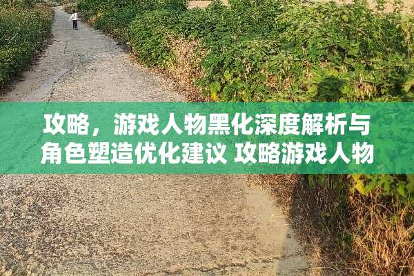 攻略，游戏人物黑化深度解析与角色塑造优化建议 攻略游戏人物黑化了