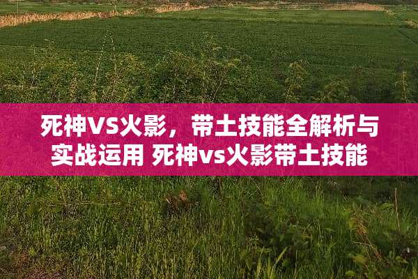 死神VS火影，带土技能全解析与实战运用 死神vs火影带土技能