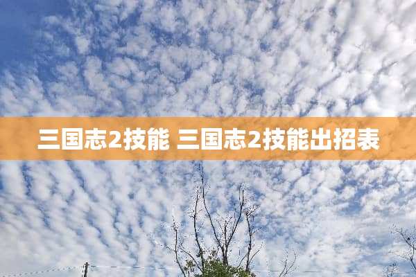三国志2技能 三国志2技能出招表