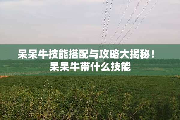 呆呆牛技能搭配与攻略大揭秘！ 呆呆牛带什么技能