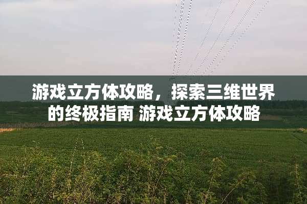 游戏立方体攻略，探索三维世界的终极指南 游戏立方体攻略