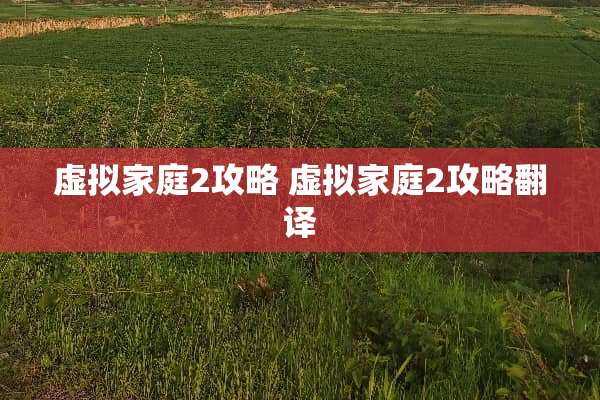 虚拟家庭2攻略 虚拟家庭2攻略翻译