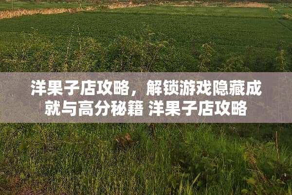 洋果子店攻略，解锁游戏隐藏成就与高分秘籍 洋果子店攻略