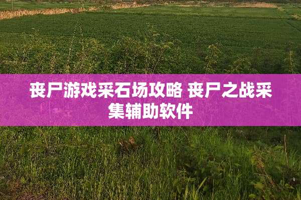 丧尸游戏采石场攻略 丧尸之战采集辅助软件